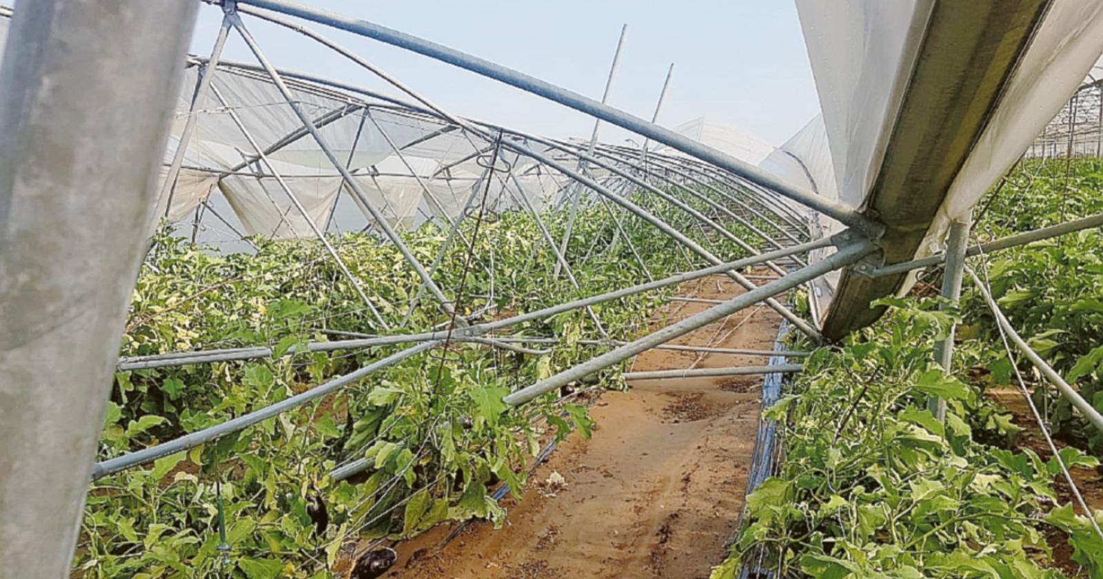 Seconda mazzata per gli agricoltori