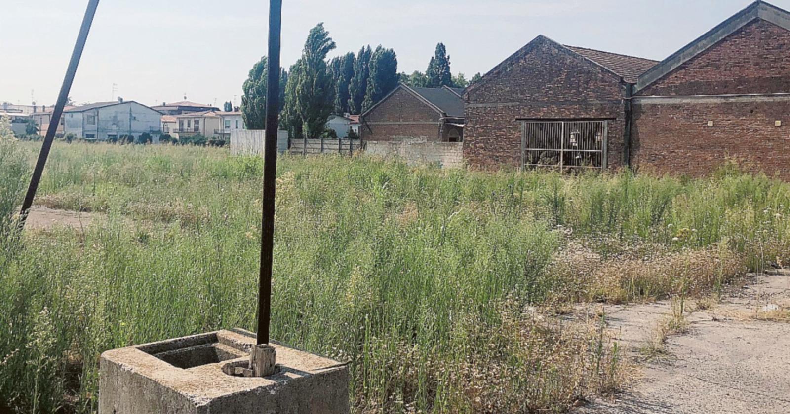 Ratti e zanzare, serve la bonifica