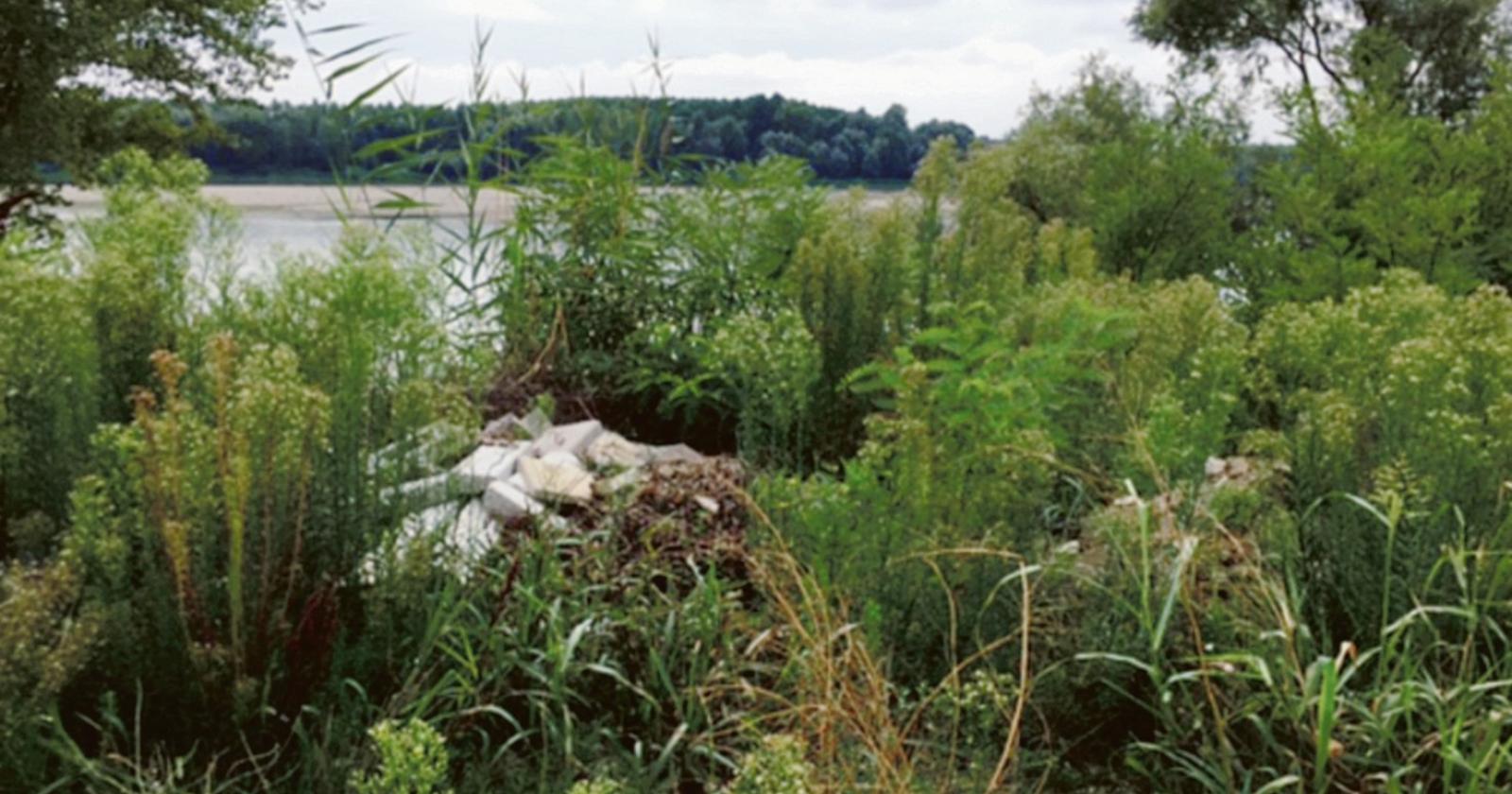 Argine del Po, discarica a cielo aperto