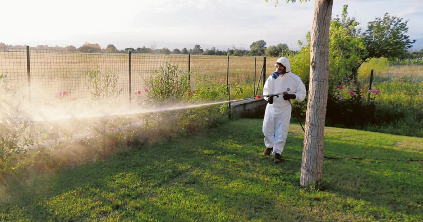 West Nile, a giorni la disinfestazione