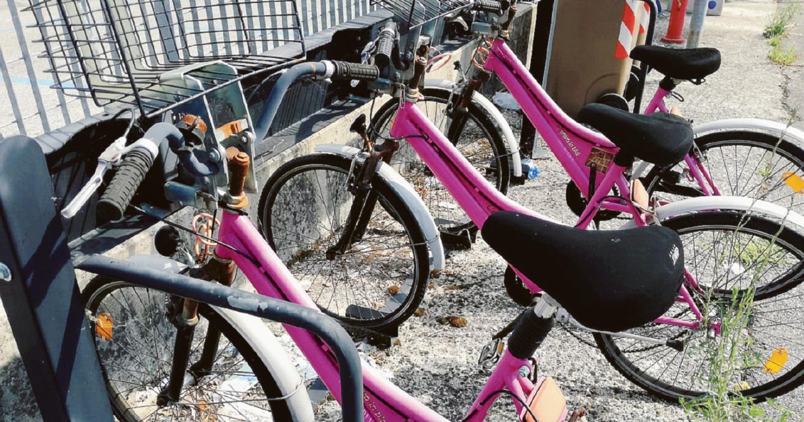 Le carcasse fucsia del bike sharing