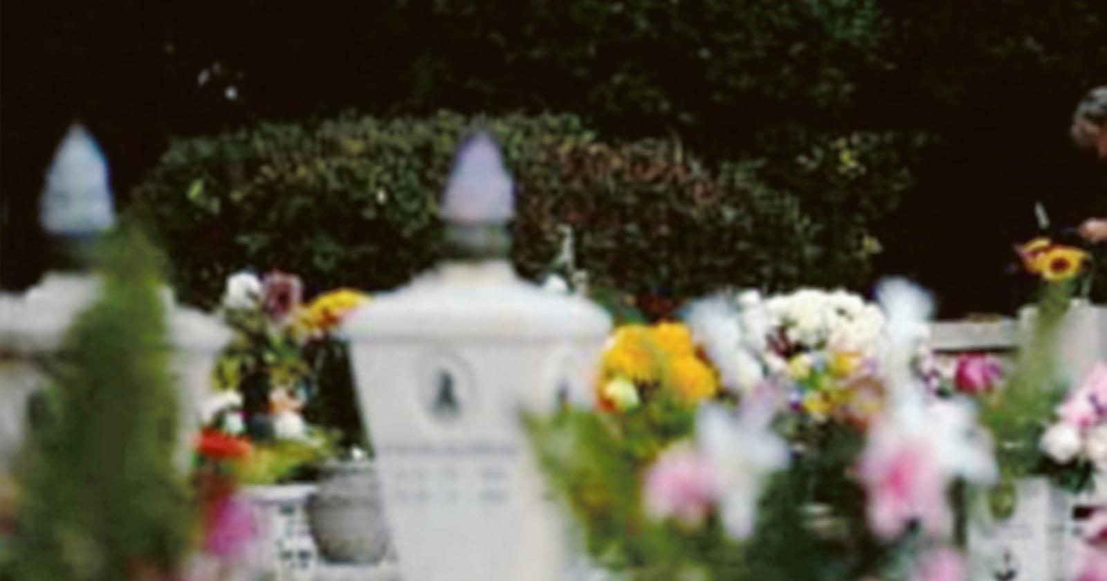 Rubano fiori e vasi dalle tombe