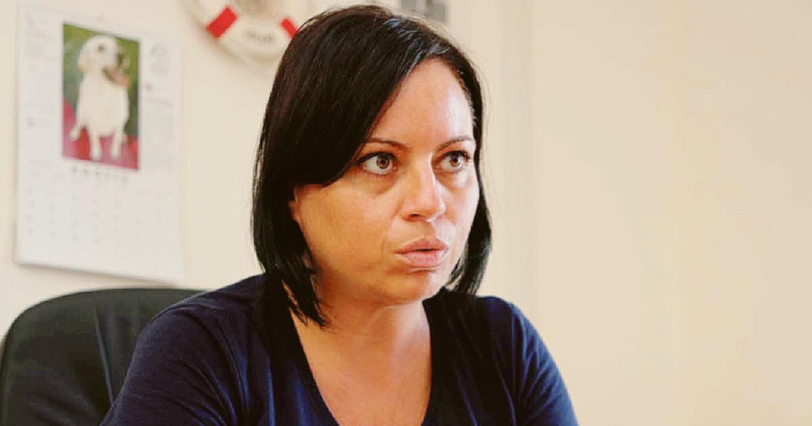 Gattile e canile, guerra paradossale