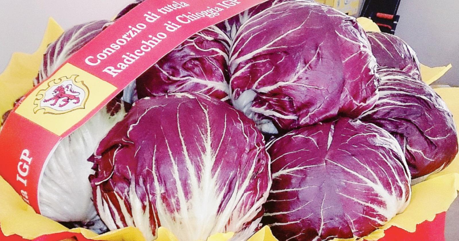 Radicchio di Chioggia, 10 anni di Igp