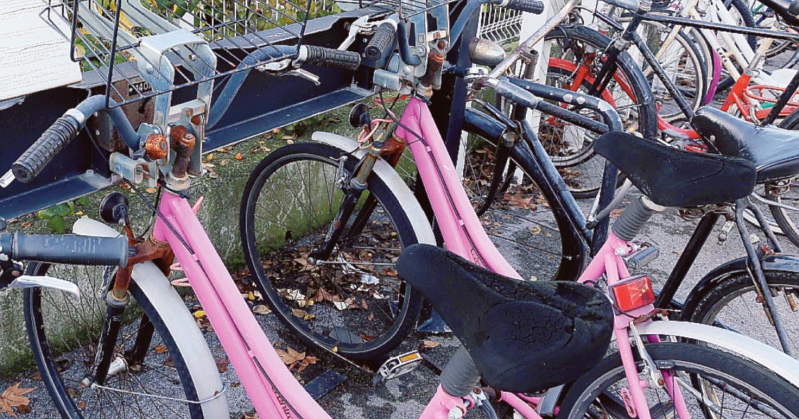 I rottami del bike sharing resistono
