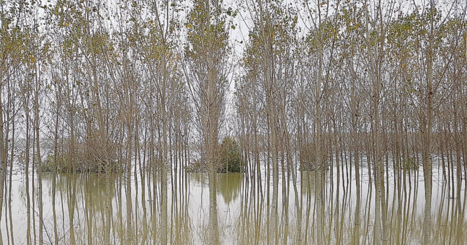 Po in piena, un centimetro all’ora