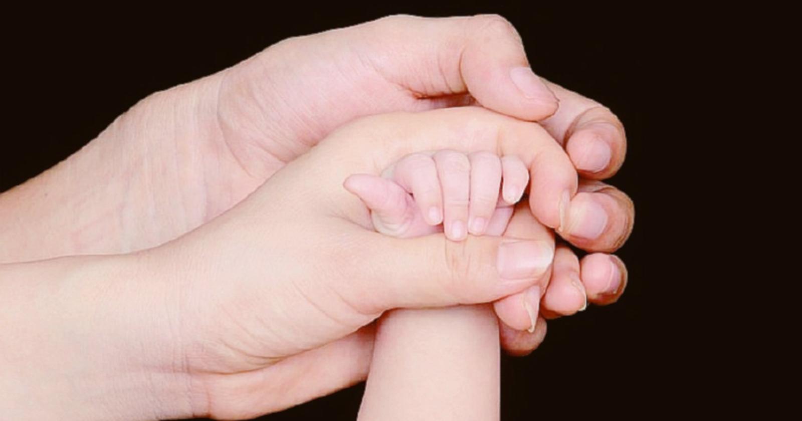 E scatta già la corsa all’adozione