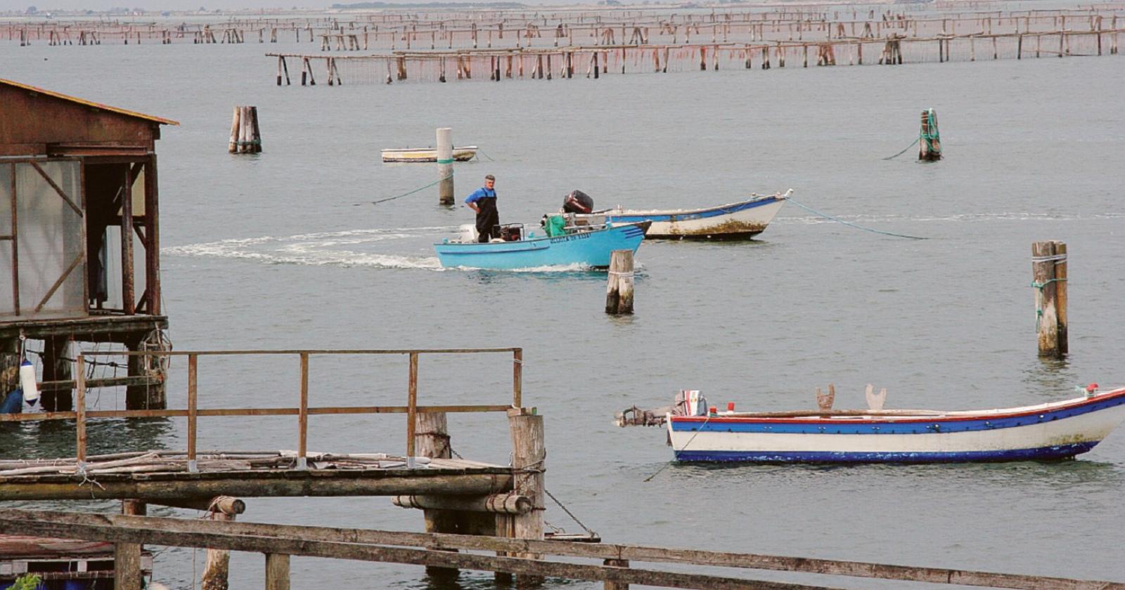 Il Tar non può decidere sulle autorizzazioni di pesca