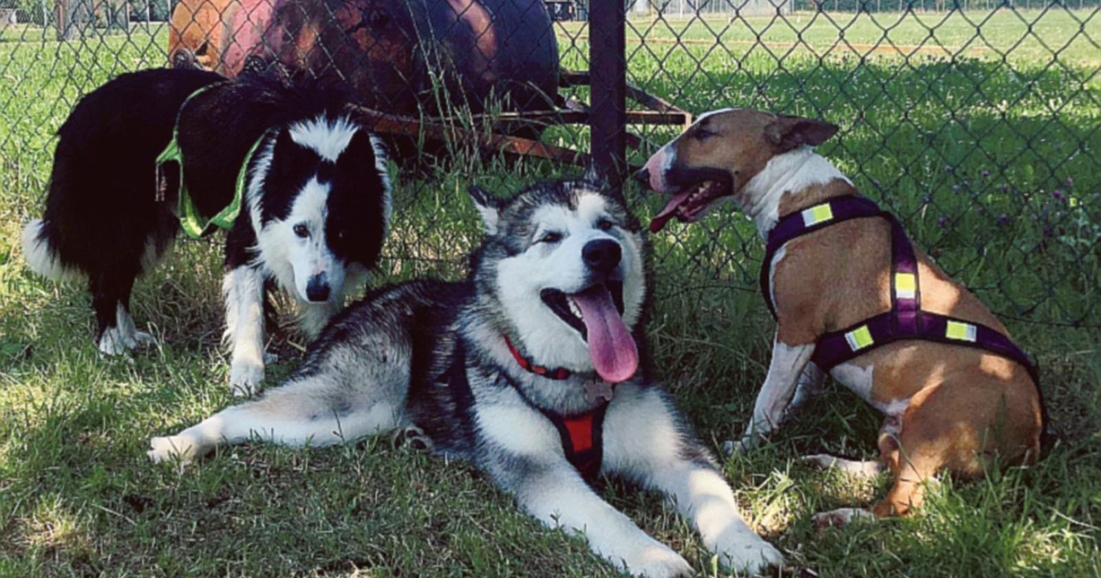 Lo sport con loro è più bello!