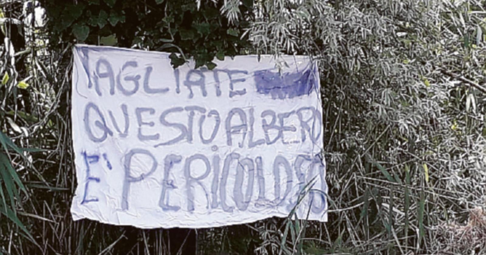 Albero pericolante segnalato dai residenti con un lenzuolo