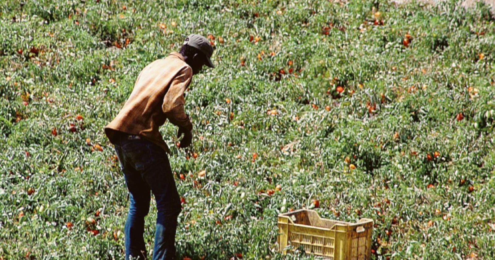 Lavoro di stagione? “No grazie”