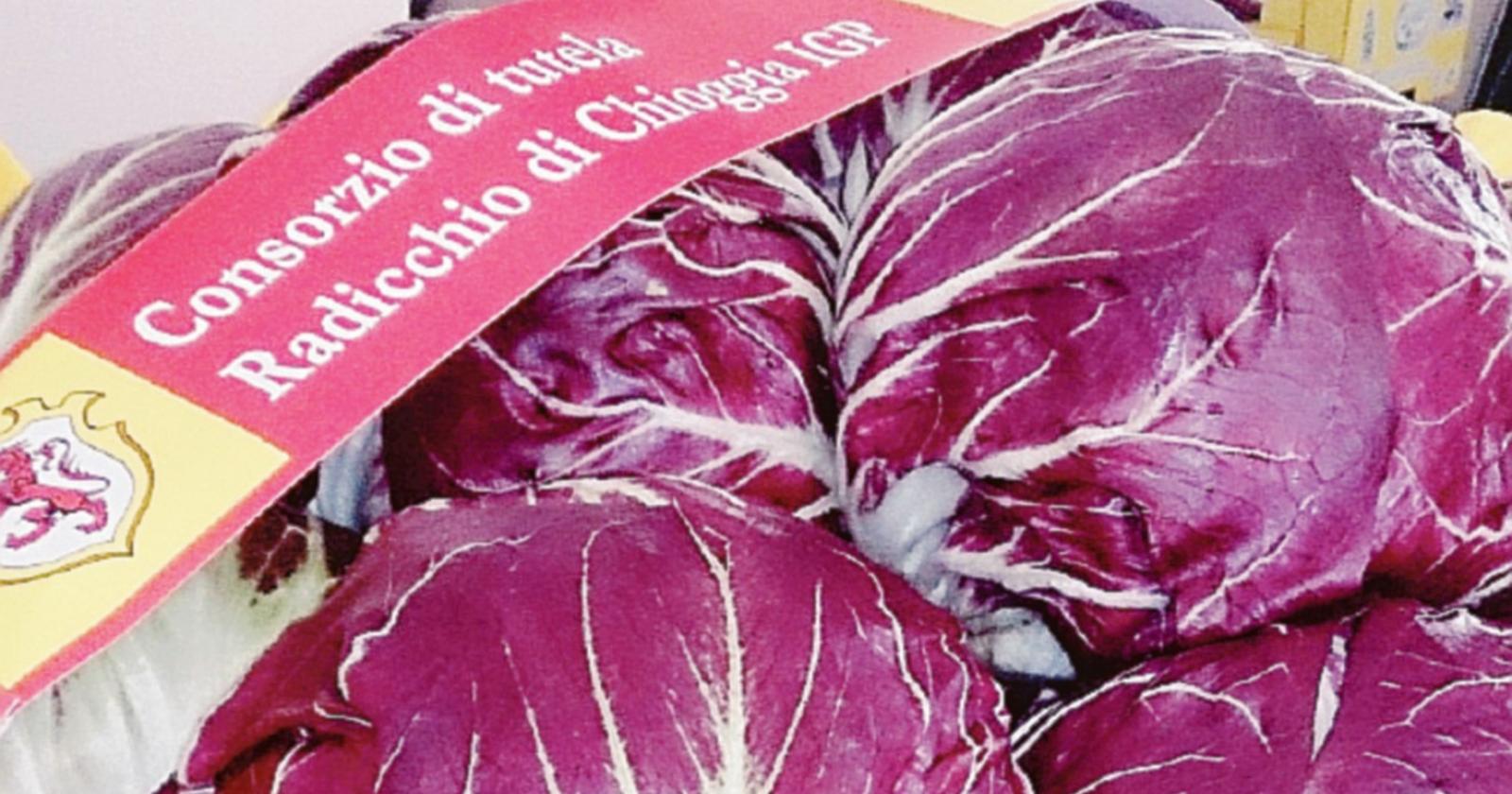 Radicchio da valorizzare, il corso