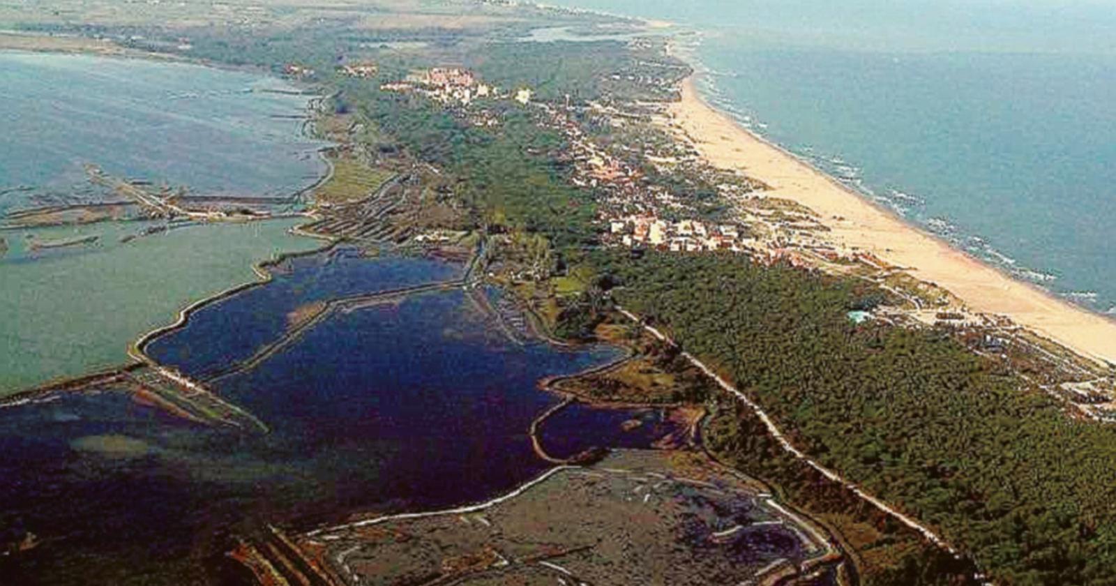 Il museo immerso nella natura