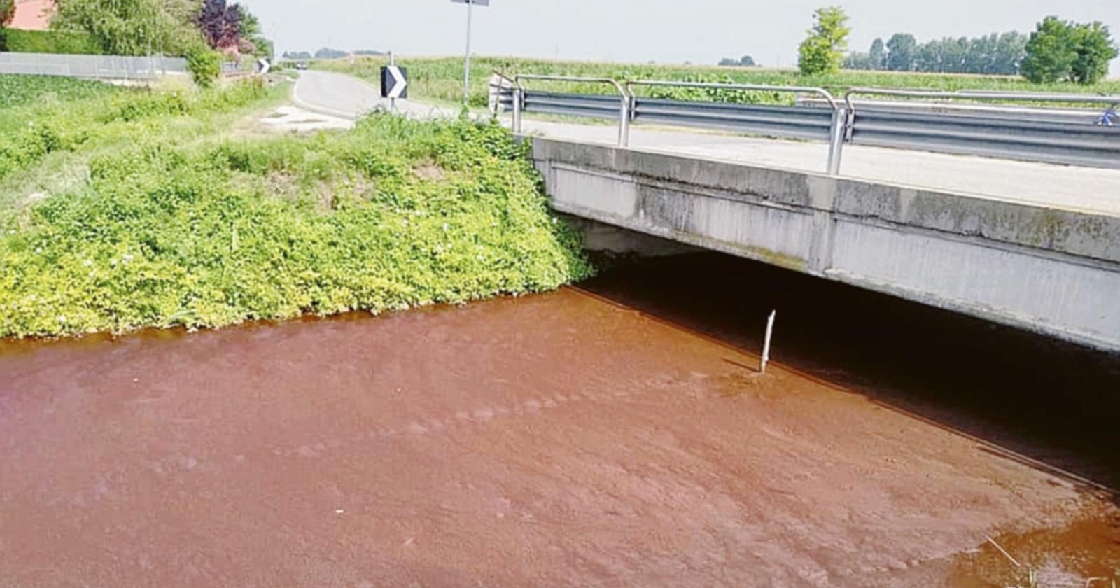 Scolo rosso sangue tra i campi