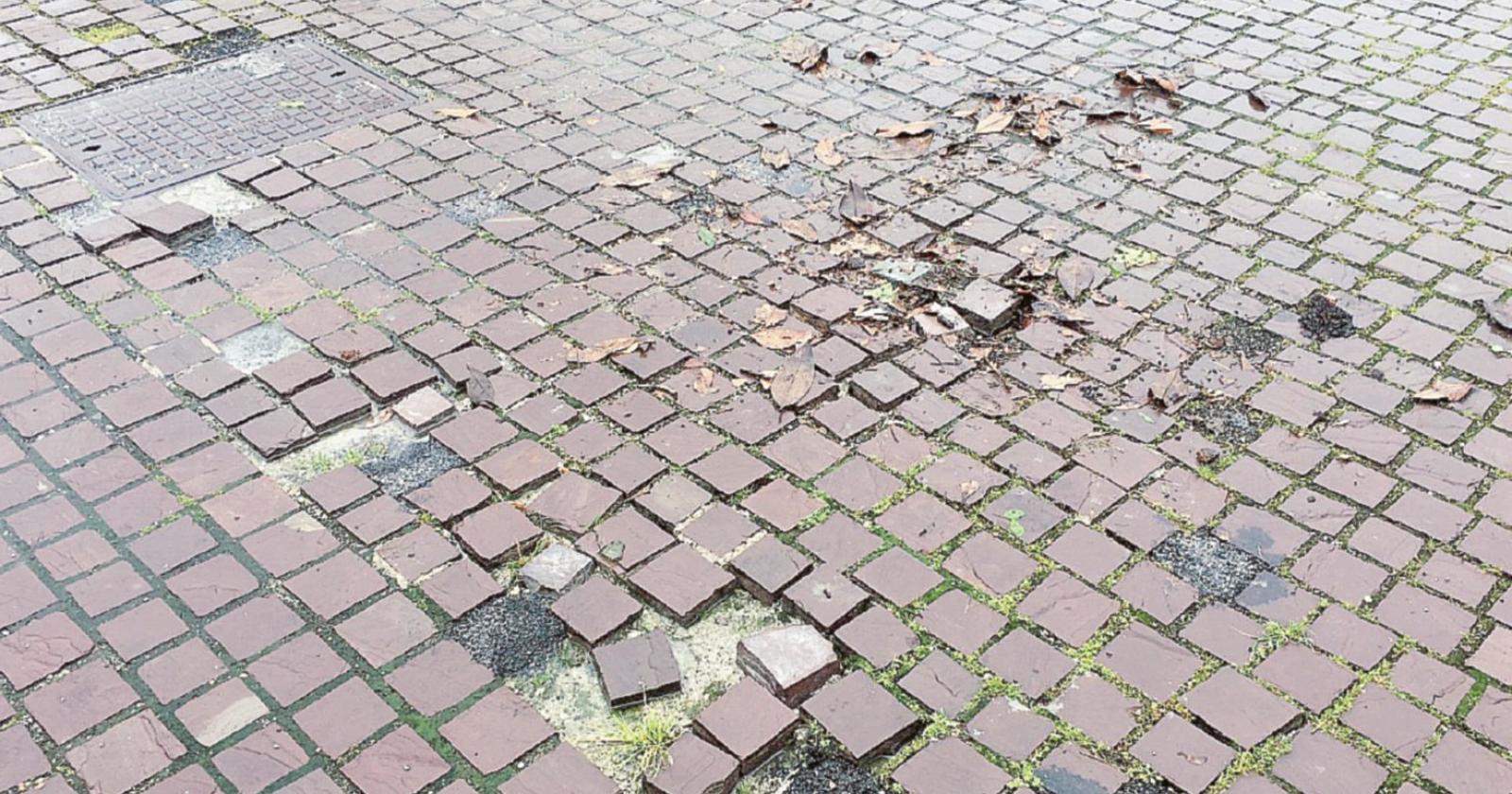 Trappola d’asfalto, viso tumefatto