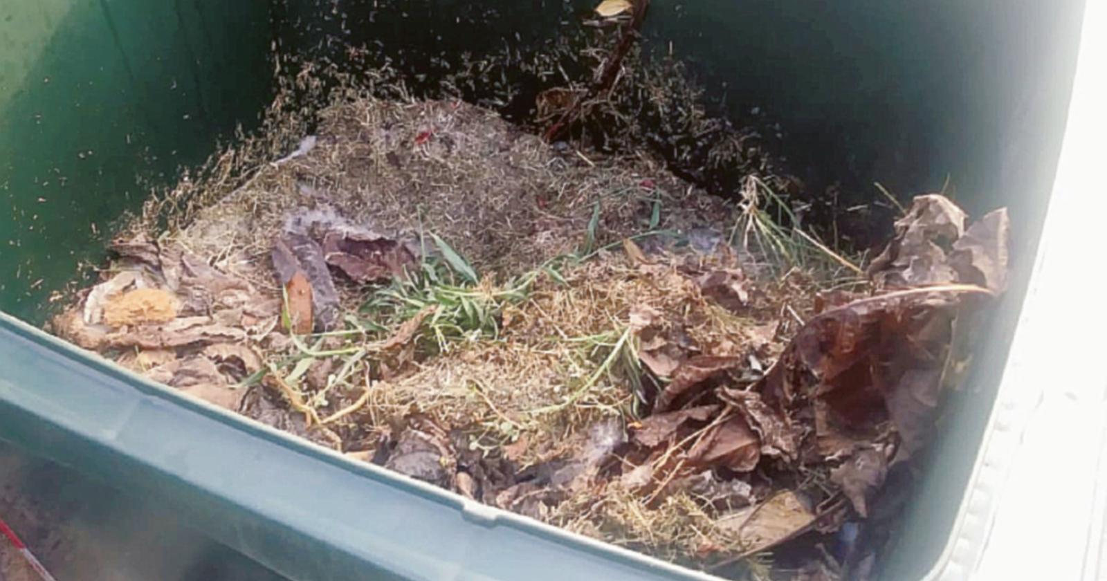 Raccolta erba, &ldquo;da luned&igrave; qui non si vede nessuno&rdquo;