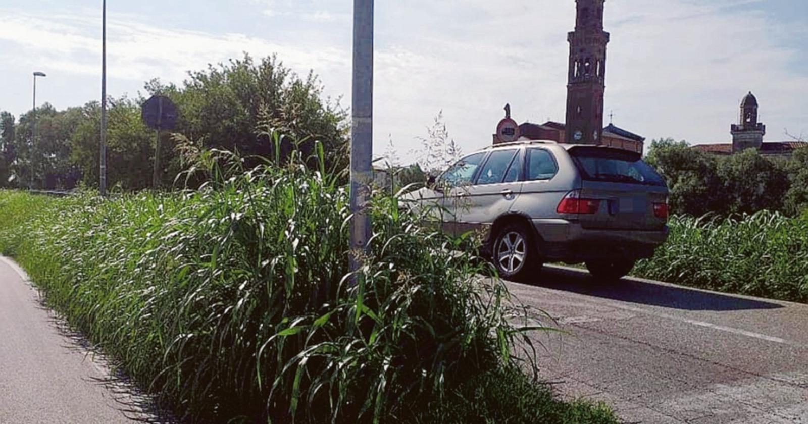 Muri d&rsquo;erba: visibilit&agrave; azzerata