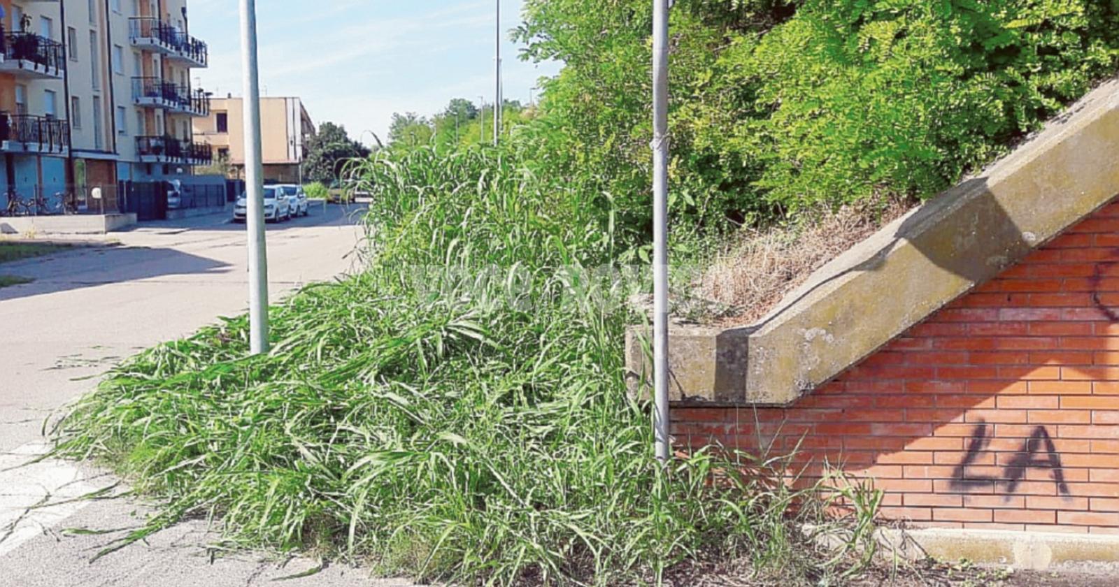 Erba, i cavarzerani ci danno un taglio