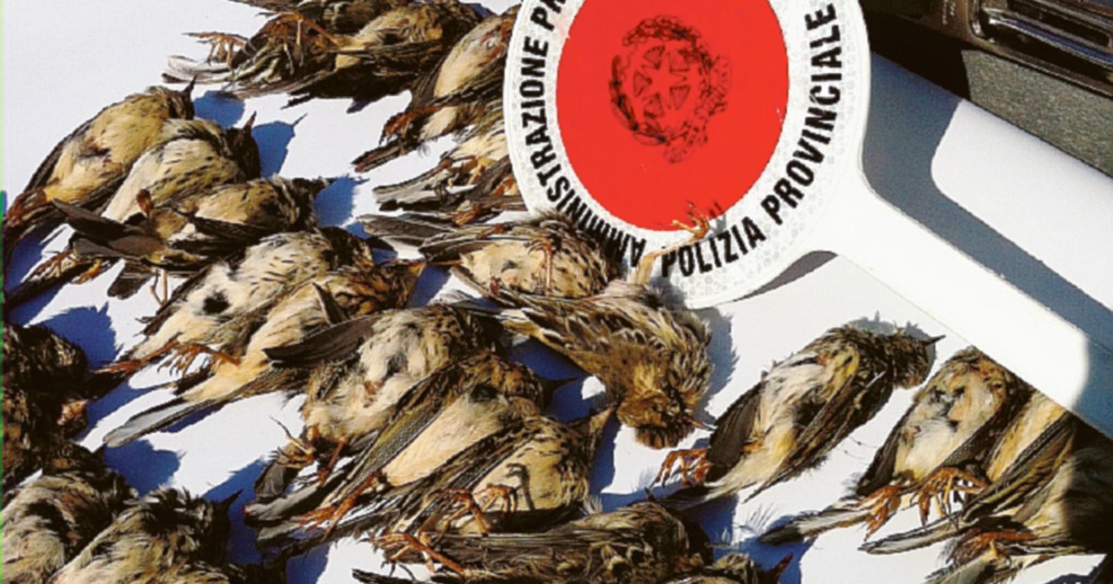 Si rompre il congelatore: la puzza invade la Provincia