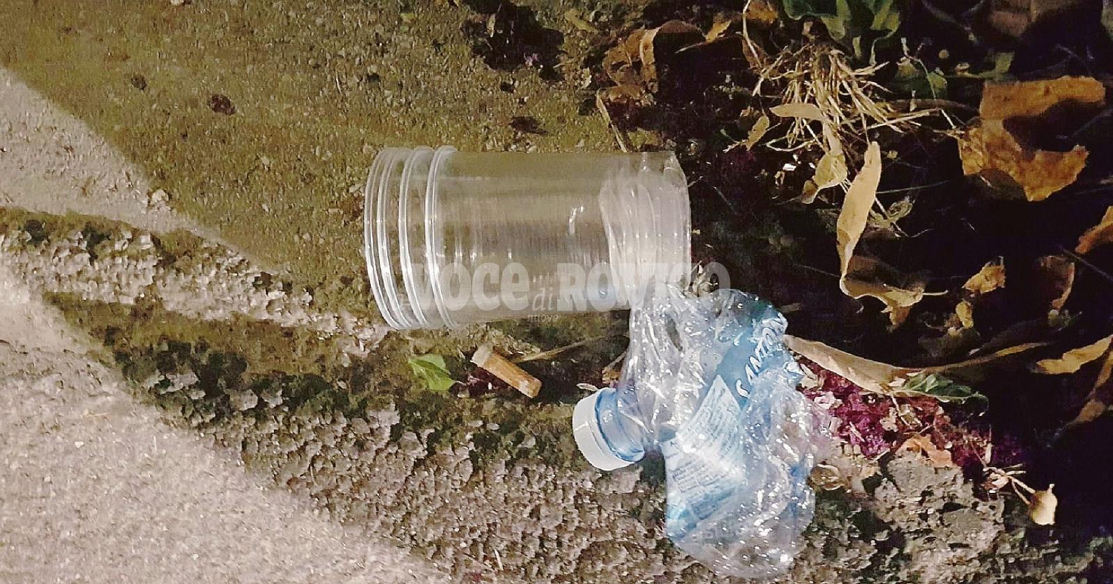 Somari alla fiera: rifiuti in paese