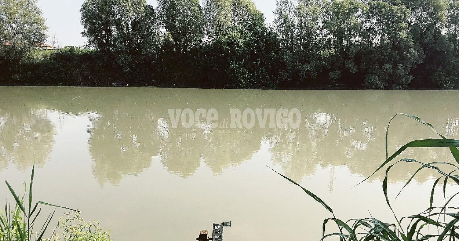 L’Ulss 3: “Salmonella nell’Adige”