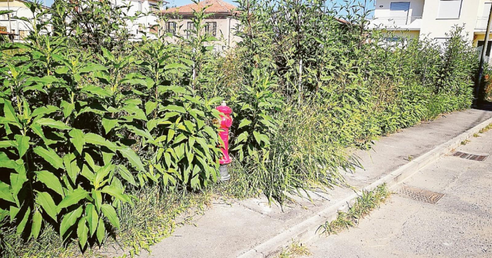 Se la strada diventa uno sterrato