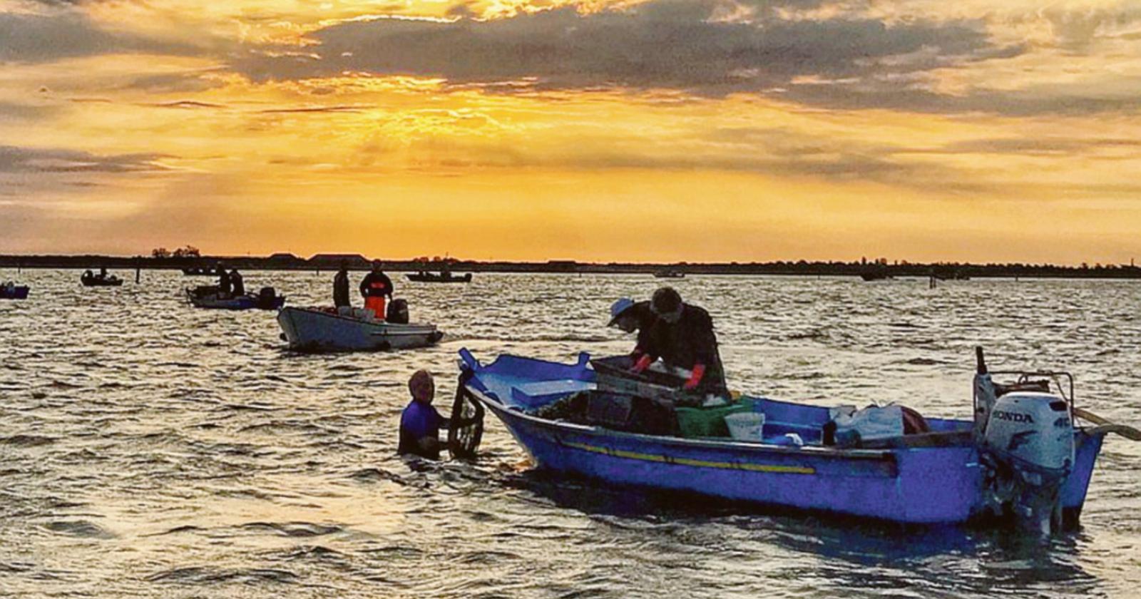 "Autorizzazioni alla pesca, il Tar ha rimesso le parti al tribunale ordinario"