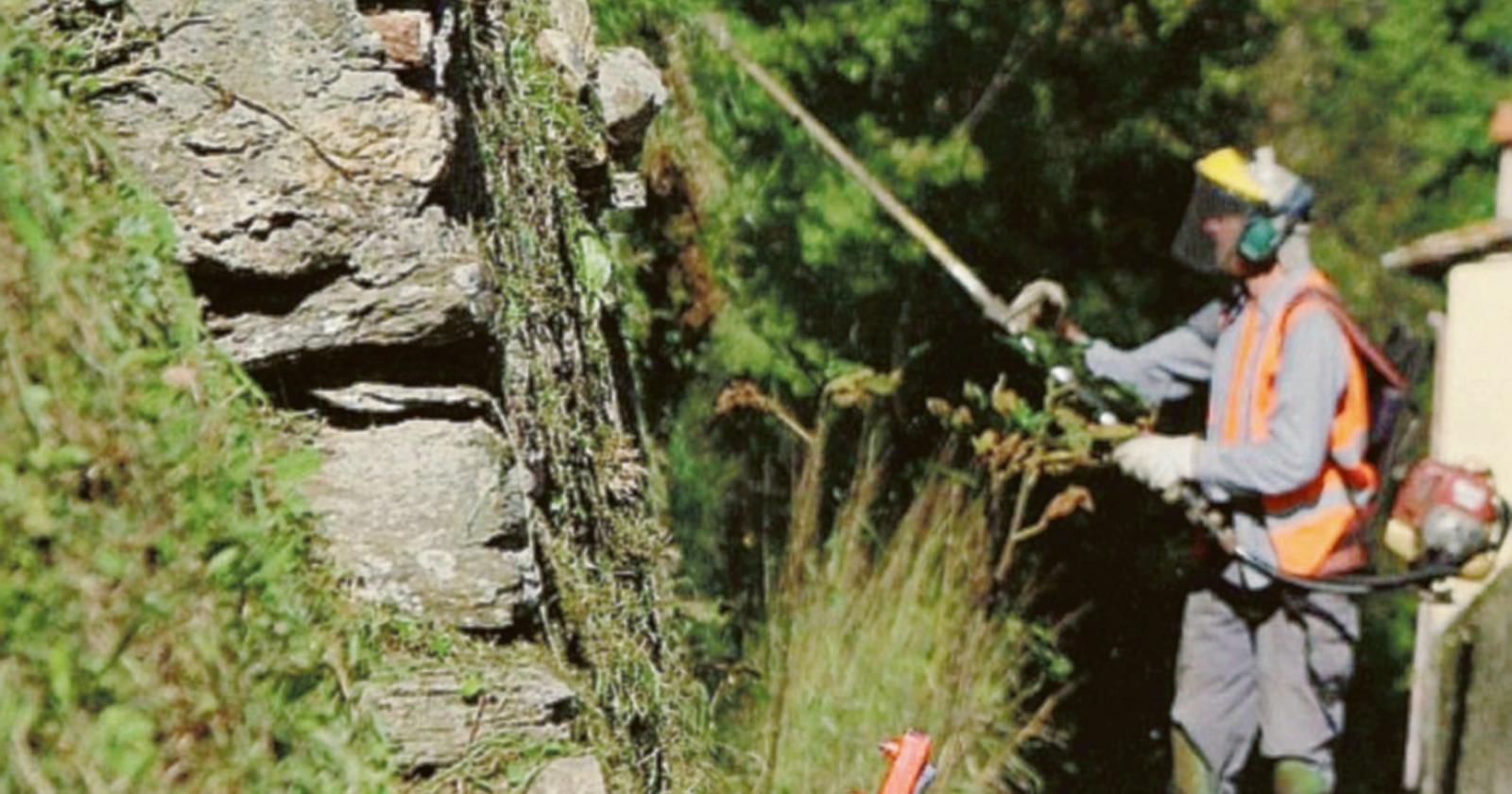 Una opportunità di lavoro per 109