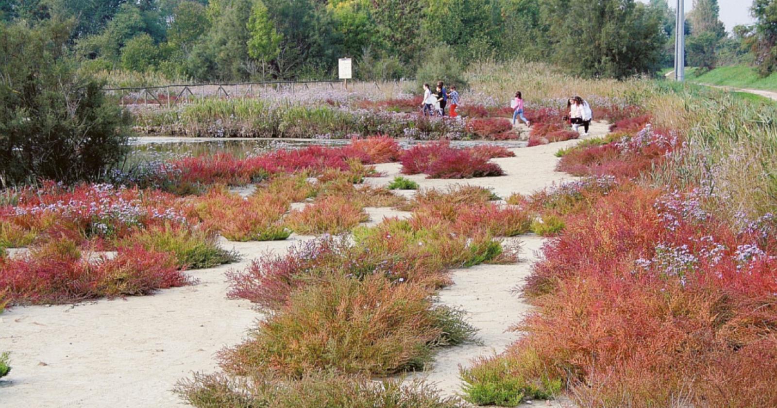 La magia del Delta in autunno