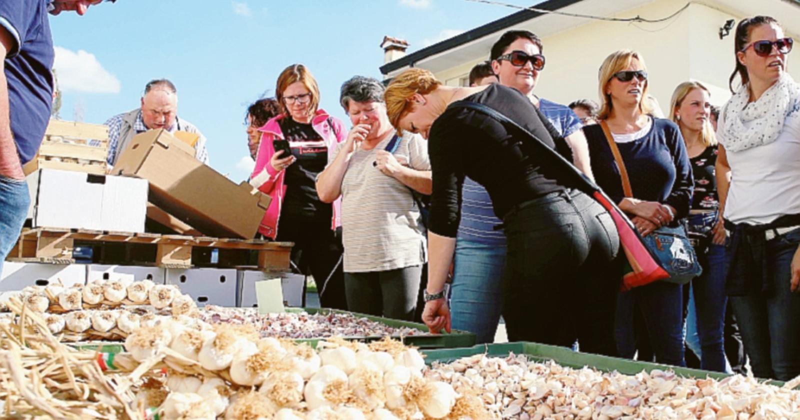 Il nostro aglio conquista la Slovenia: oro bianco