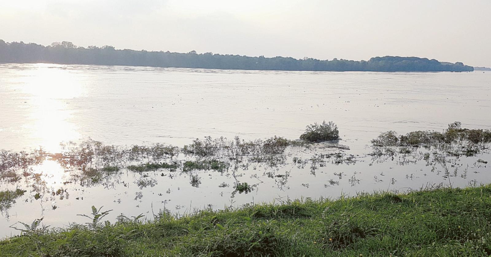 La piena è passata per Ficarolo