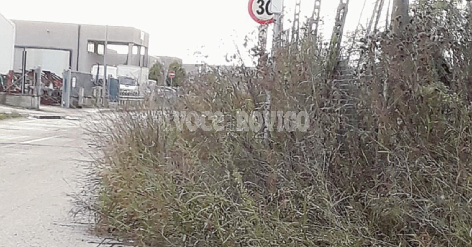 “Il nostro paese è nel degrado”
