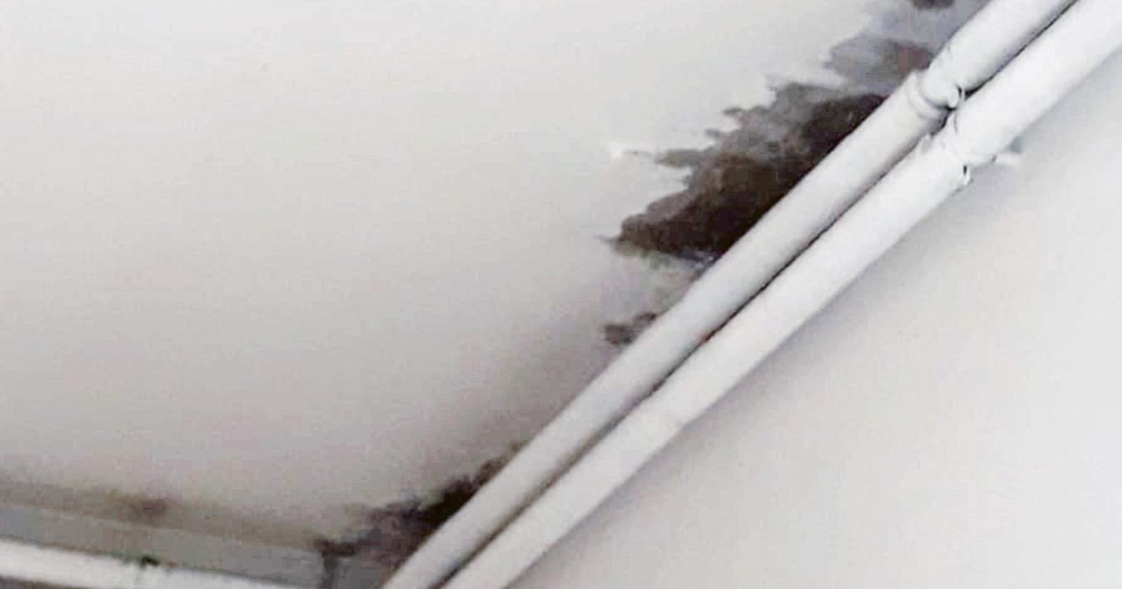 Incredibile: muffa e crepe in aula