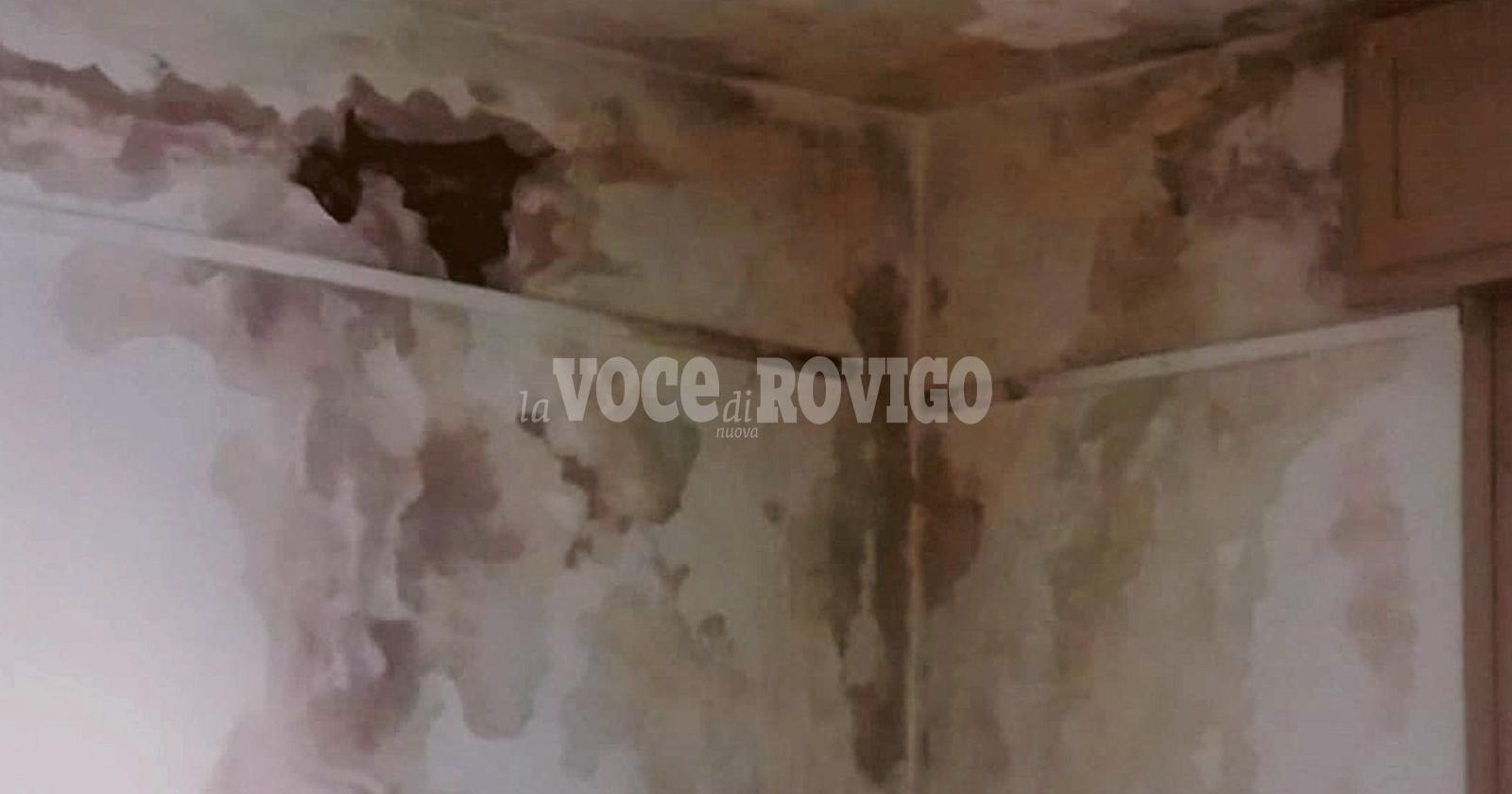 “Sulla Collodi solo falsi allarmismi”