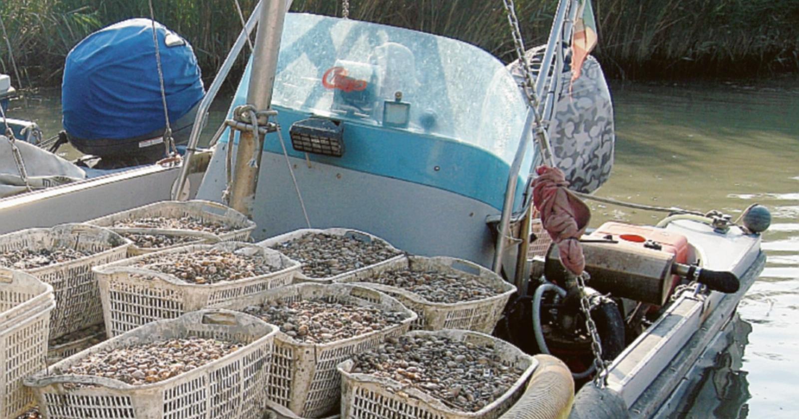 Ancora uno schiaffo ai pescatori