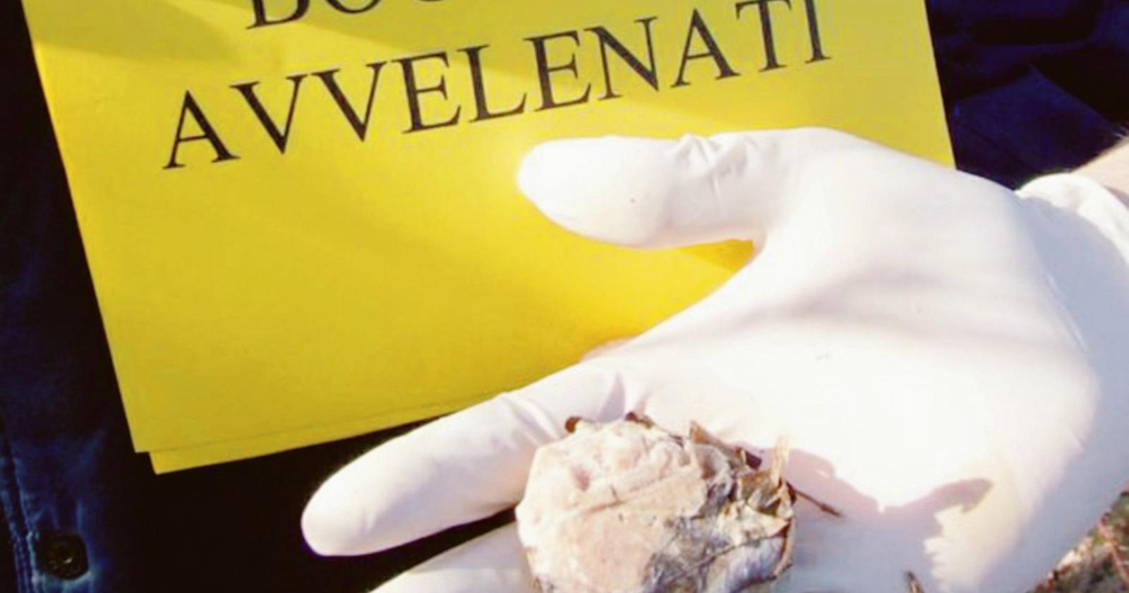 Esche avvelenate: morti 5 cani