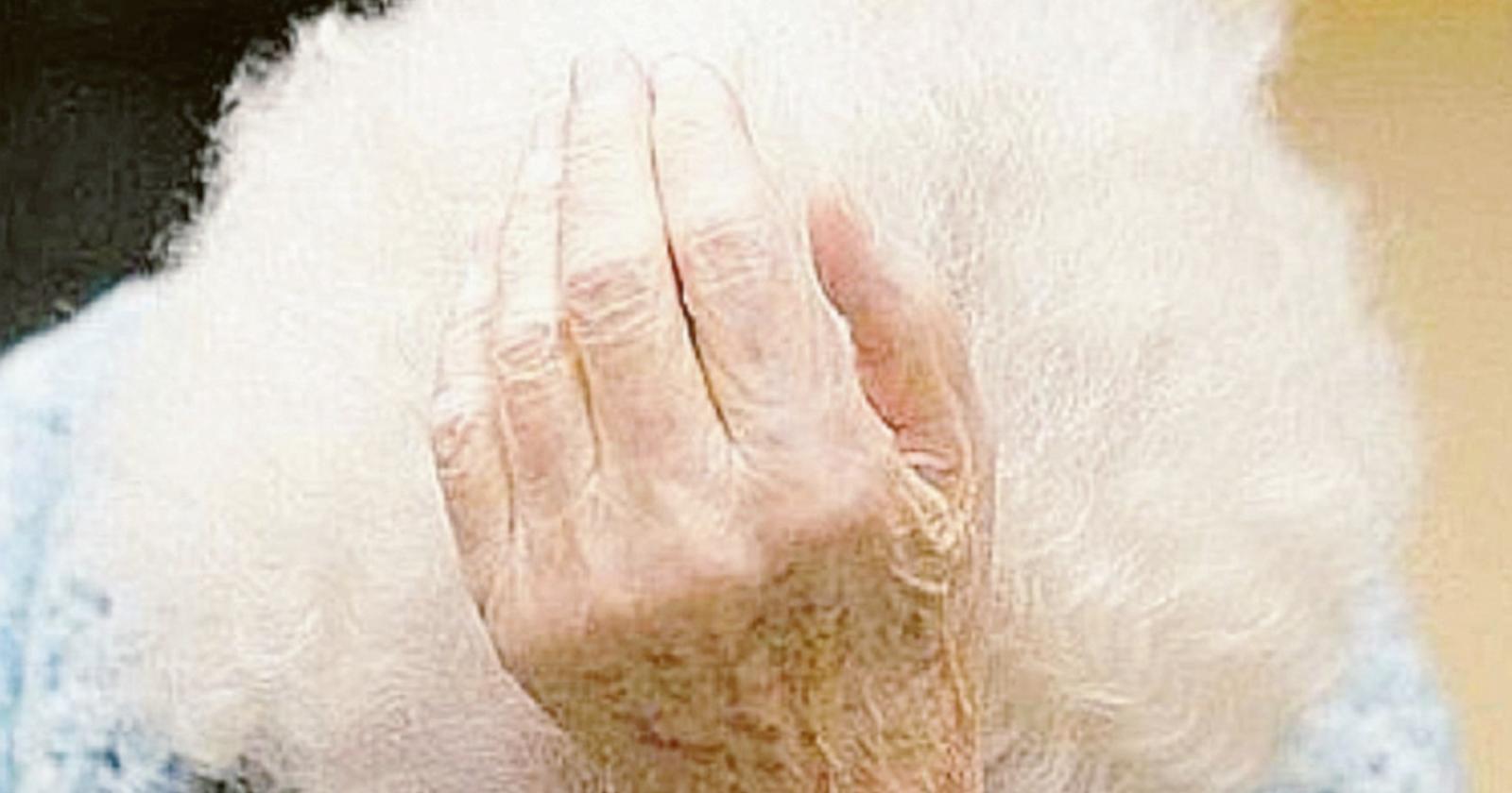 "Datemi i soldi": per anni picchia gli anziani genitori