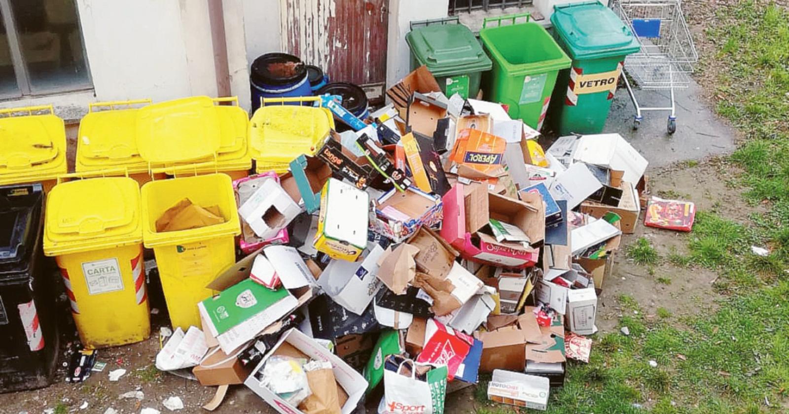 Nell’isola ecologica spuntano i topi