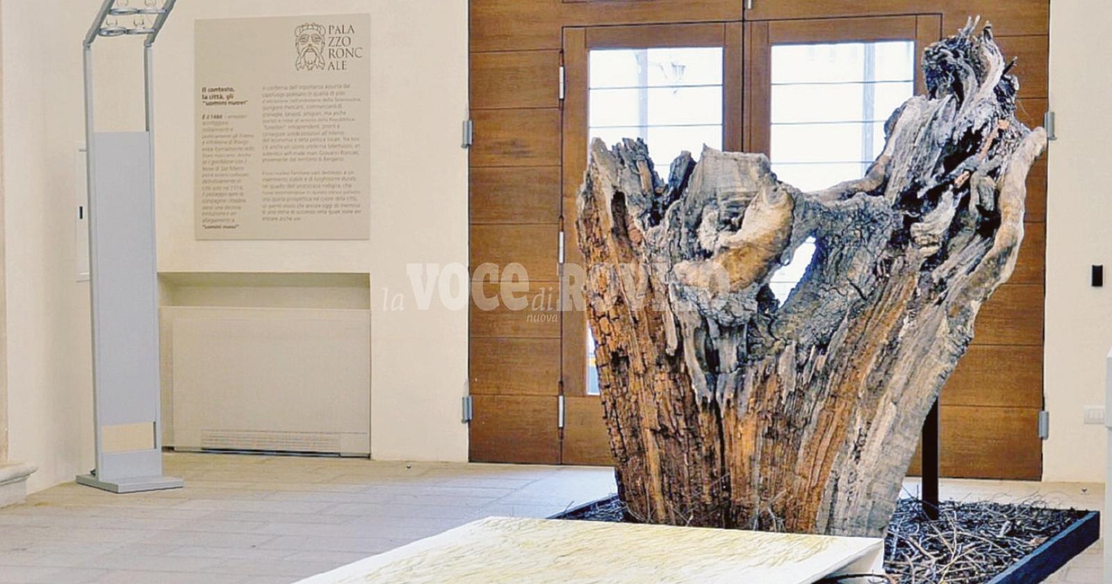 La Quercia che orientò il Sommo Poeta