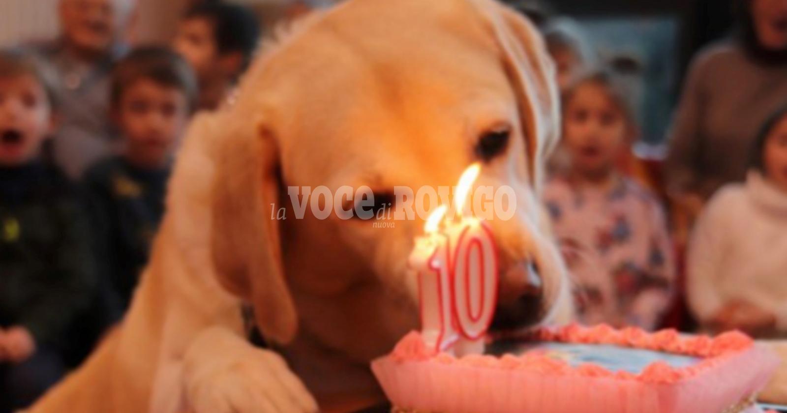 Problemi per Penny la mascotte