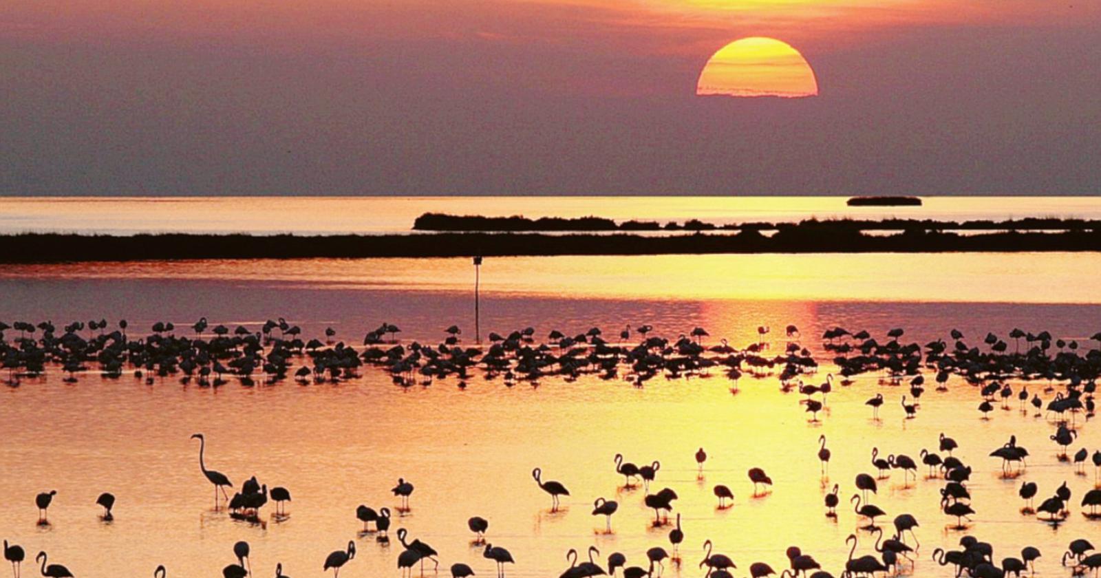 Il Polesine nel cuore con un clic
