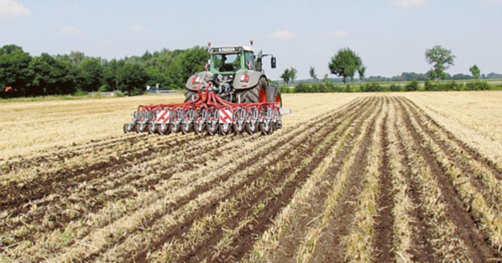 Anna nera per l'agricoltura polesana ma crescono gli imprenditori under 40