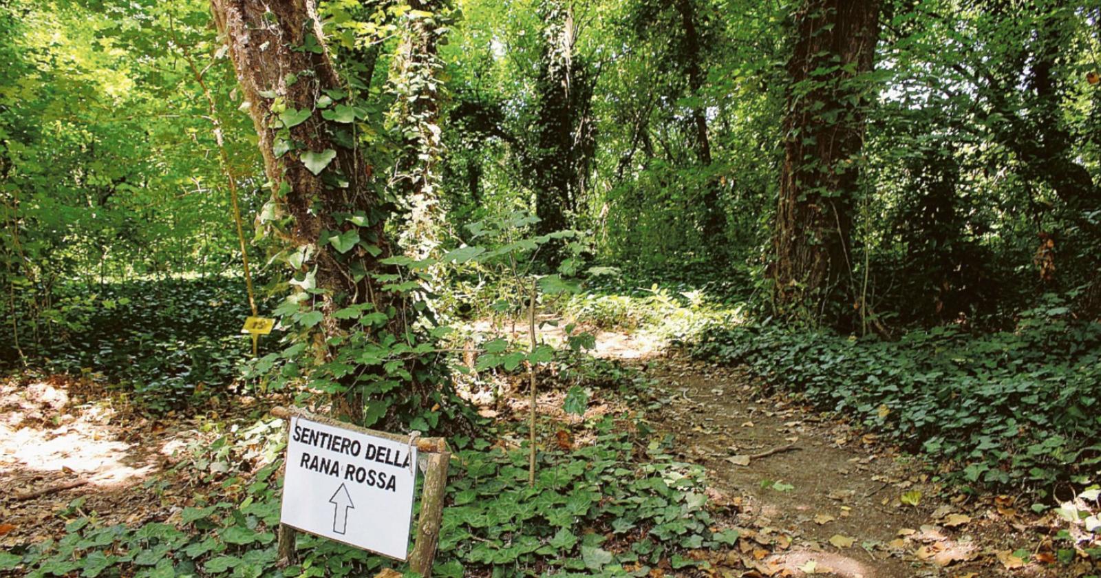 Riunione a Parco Langer, i genitori insorgono: "Seduti a terra tra le zanzare"