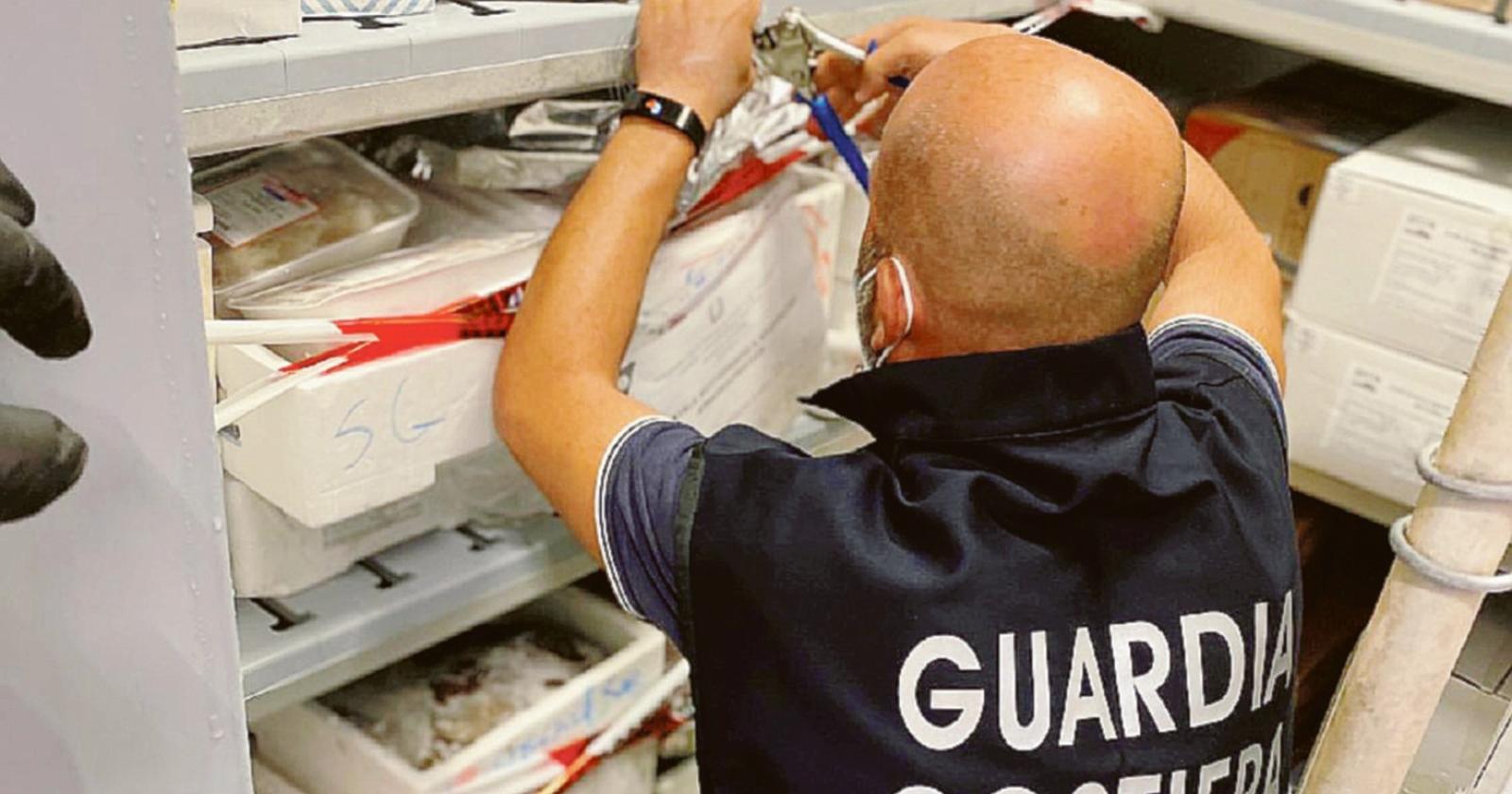 Pescato, controlli a raffica: sequestrati 3 quintali di pesce e elevate sanzioni per 21mila 500 euro