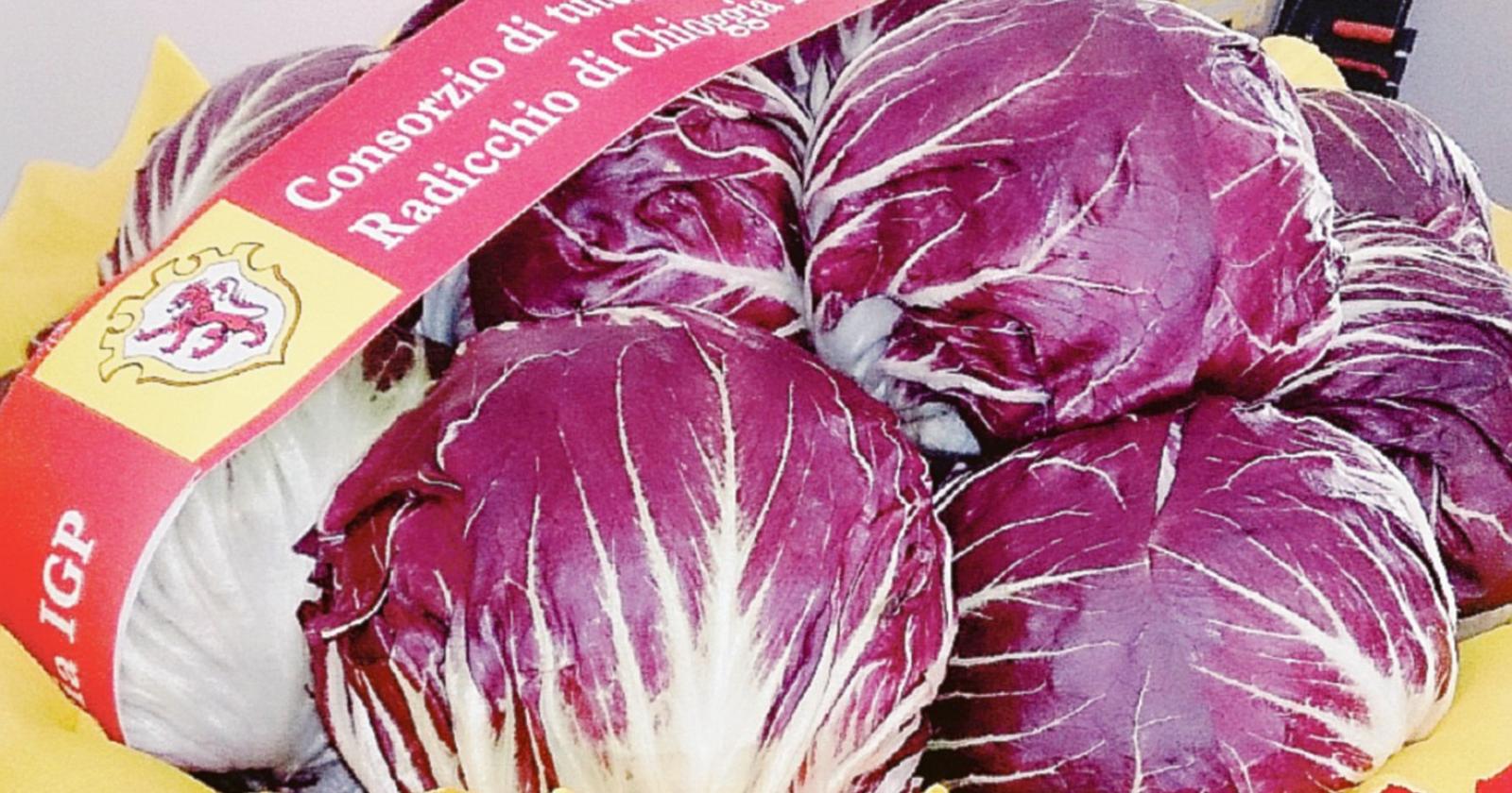 Covid, devastante per il radicchio