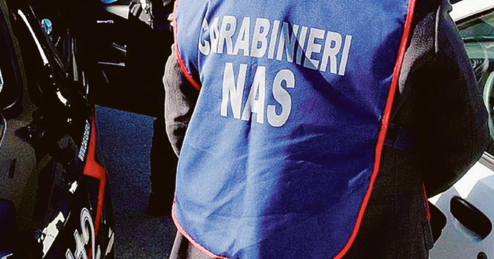 Nas in Polesine, un milione di euro di sequestri e 82mila di multe