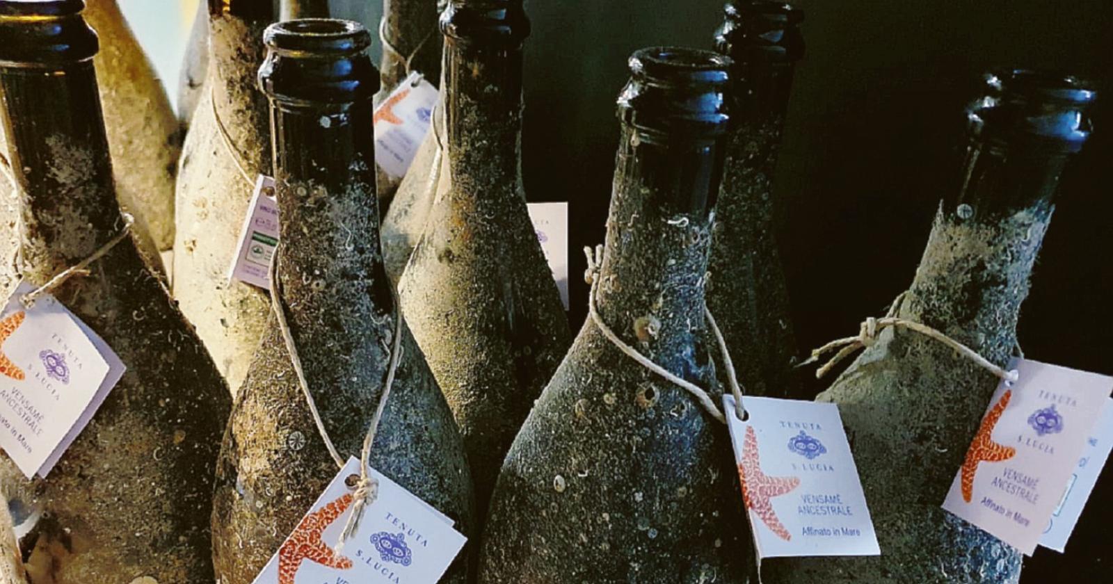 Il sangiovese si affina in mare: 100 bottiglie con una storia davvero unica