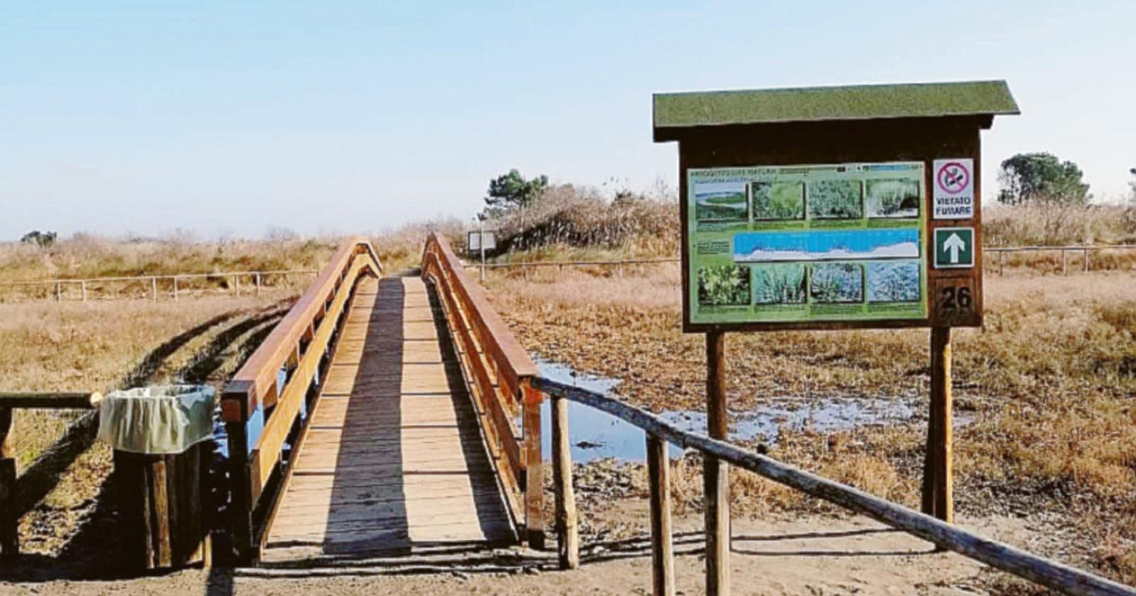 “Giardino Laudato sì”, arriva Zaia