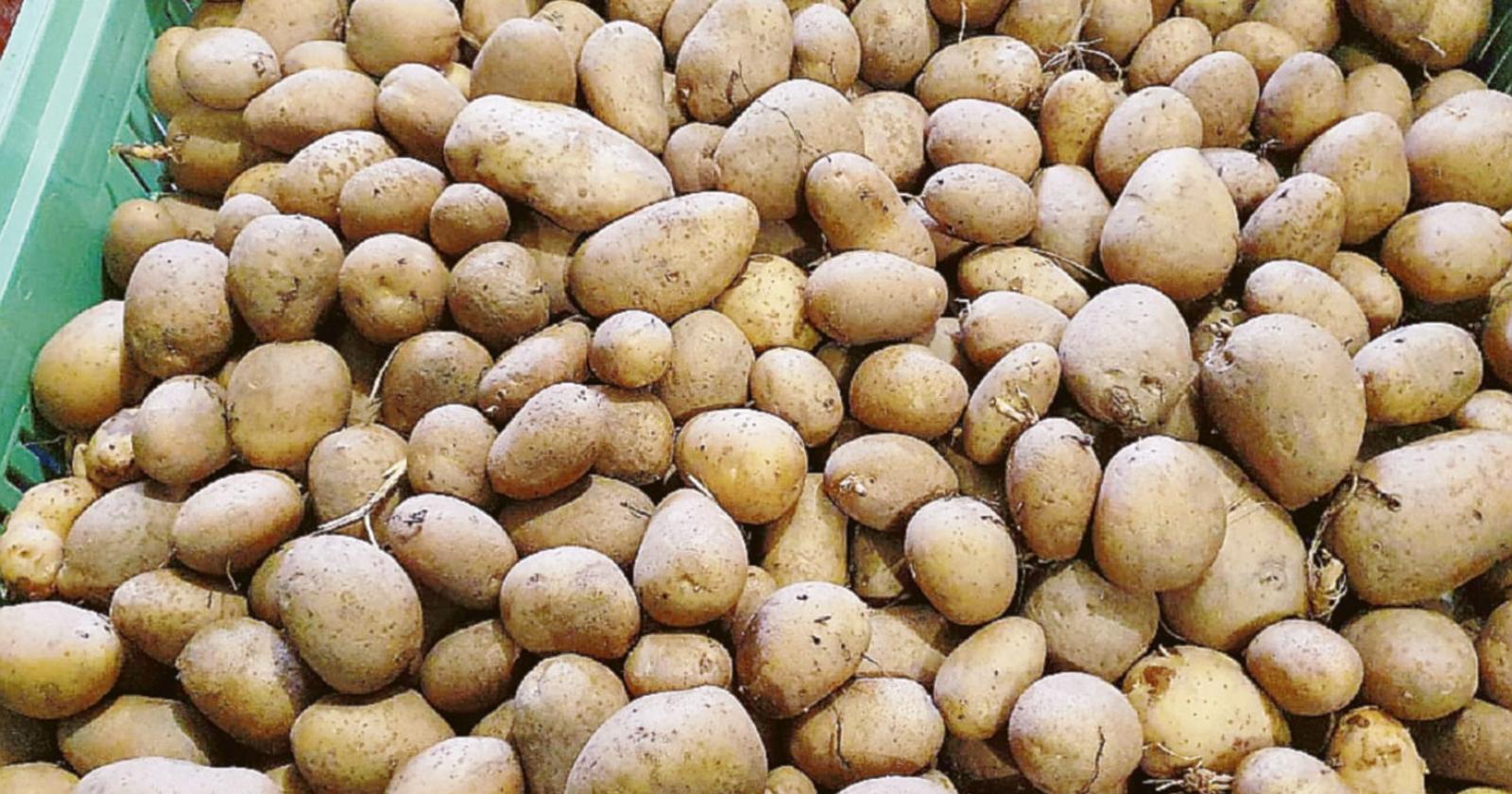 Ortaggi d&rsquo;oro, rincari fino al 900%