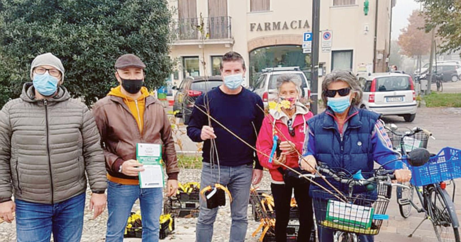300 alberi gratis per vivere meglio